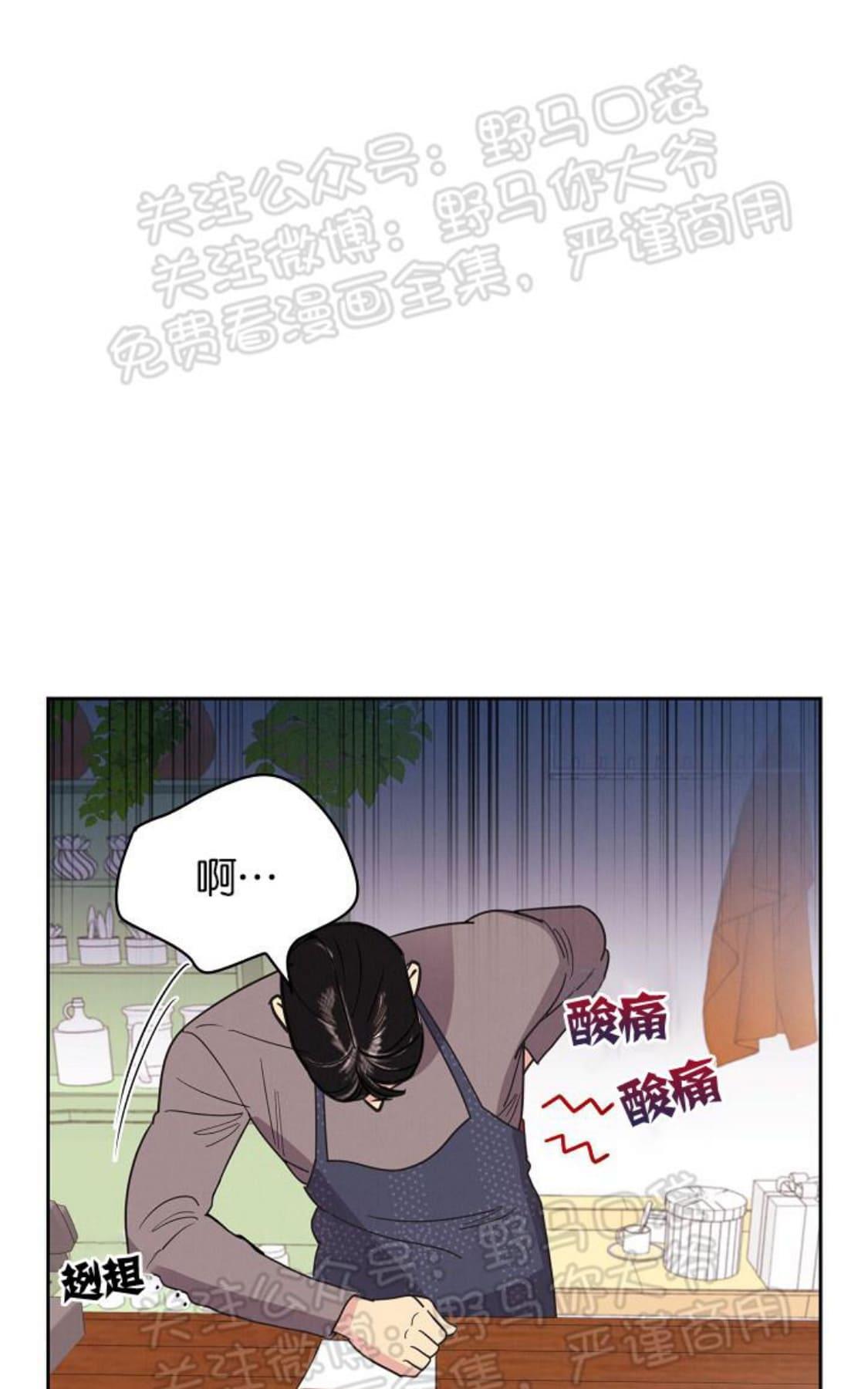 【亲爱的本杰明/枪下玫瑰[腐漫]】漫画-（ 第10话 ）章节漫画下拉式图片-3.jpg