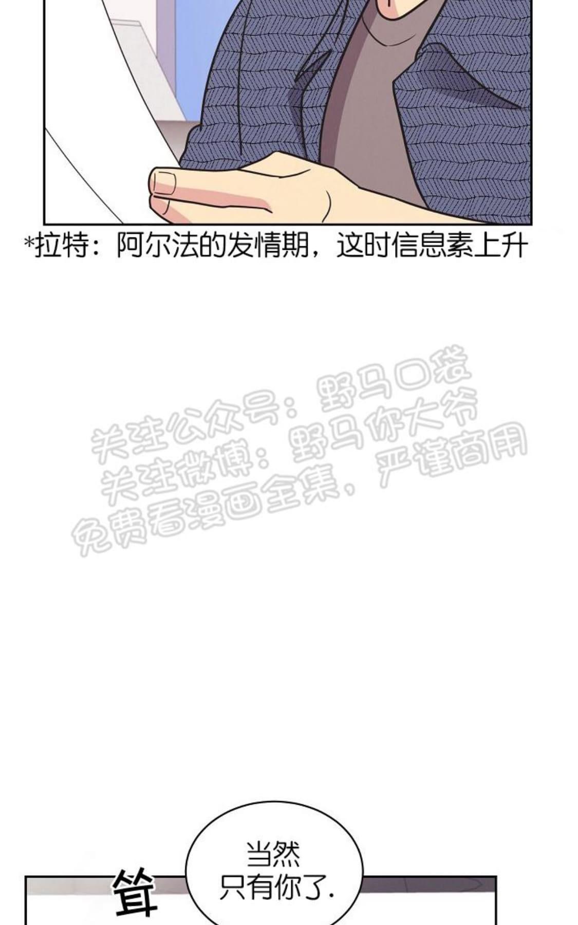 【亲爱的本杰明/枪下玫瑰[腐漫]】漫画-（ 第10话 ）章节漫画下拉式图片-45.jpg