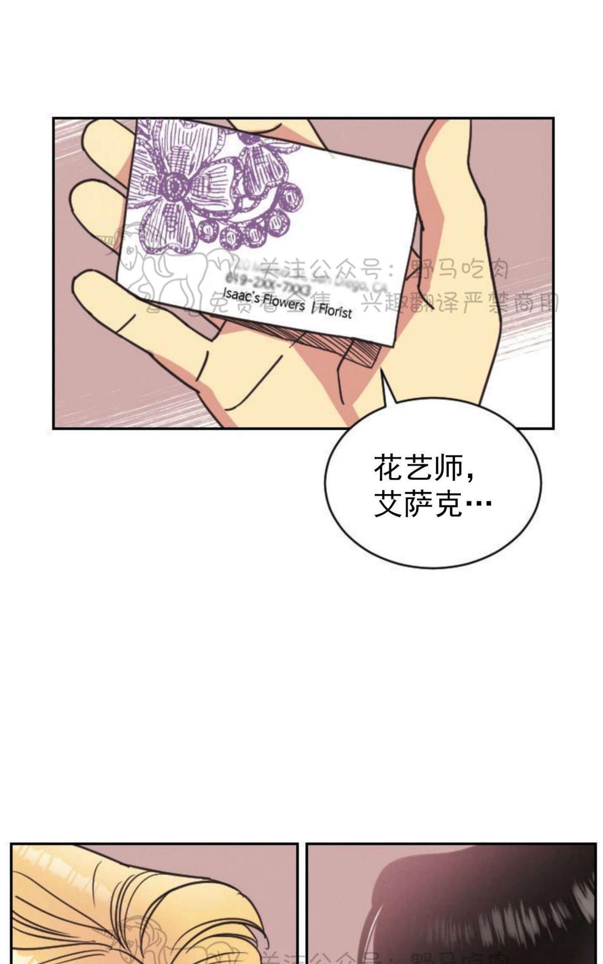 【亲爱的本杰明/枪下玫瑰[腐漫]】漫画-（ 第2话 ）章节漫画下拉式图片-16.jpg