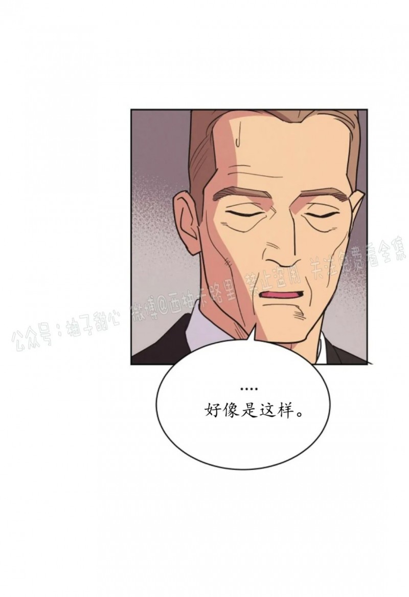 《亲爱的本杰明/枪下玫瑰》漫画最新章节第25话免费下拉式在线观看章节第【26】张图片