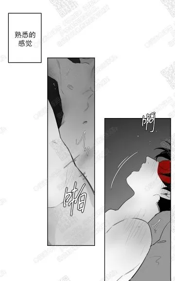 《赤色领域》漫画最新章节 第41话 免费下拉式在线观看章节第【10】张图片