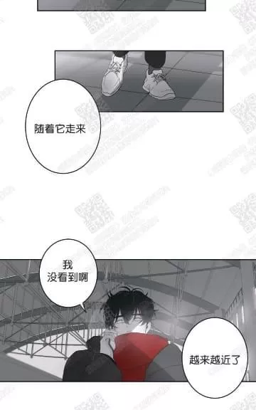 《赤色领域》漫画最新章节 第40话 免费下拉式在线观看章节第【14】张图片