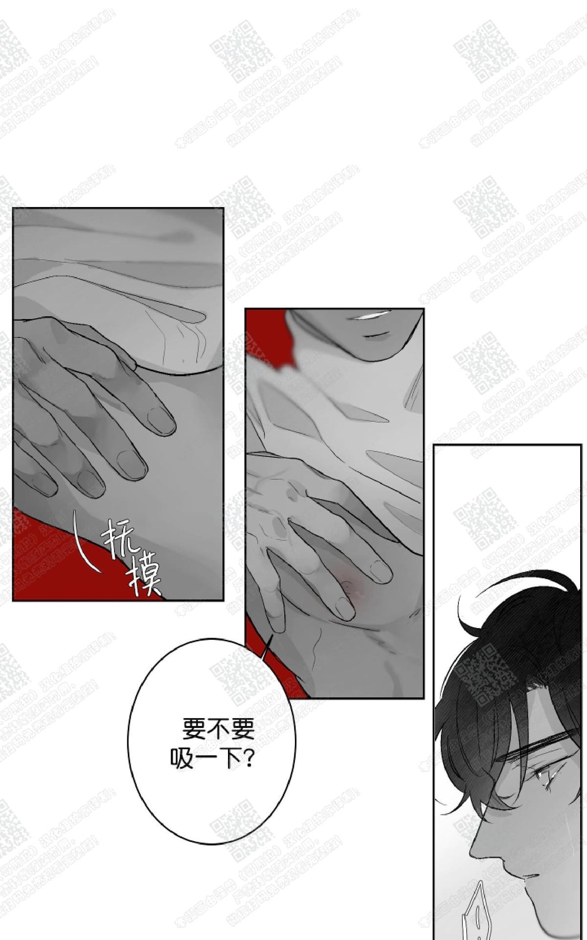 【赤色领域[腐漫]】漫画-（ 第28话 ）章节漫画下拉式图片-13.jpg