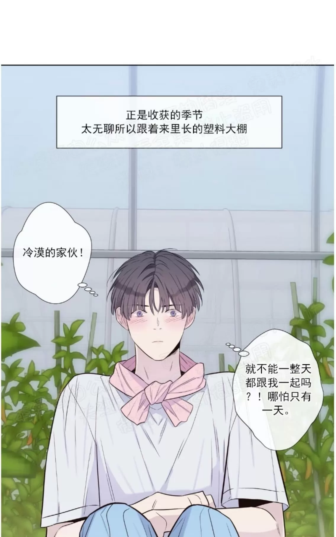 《夏日访客》漫画最新章节 第18话 免费下拉式在线观看章节第【7】张图片