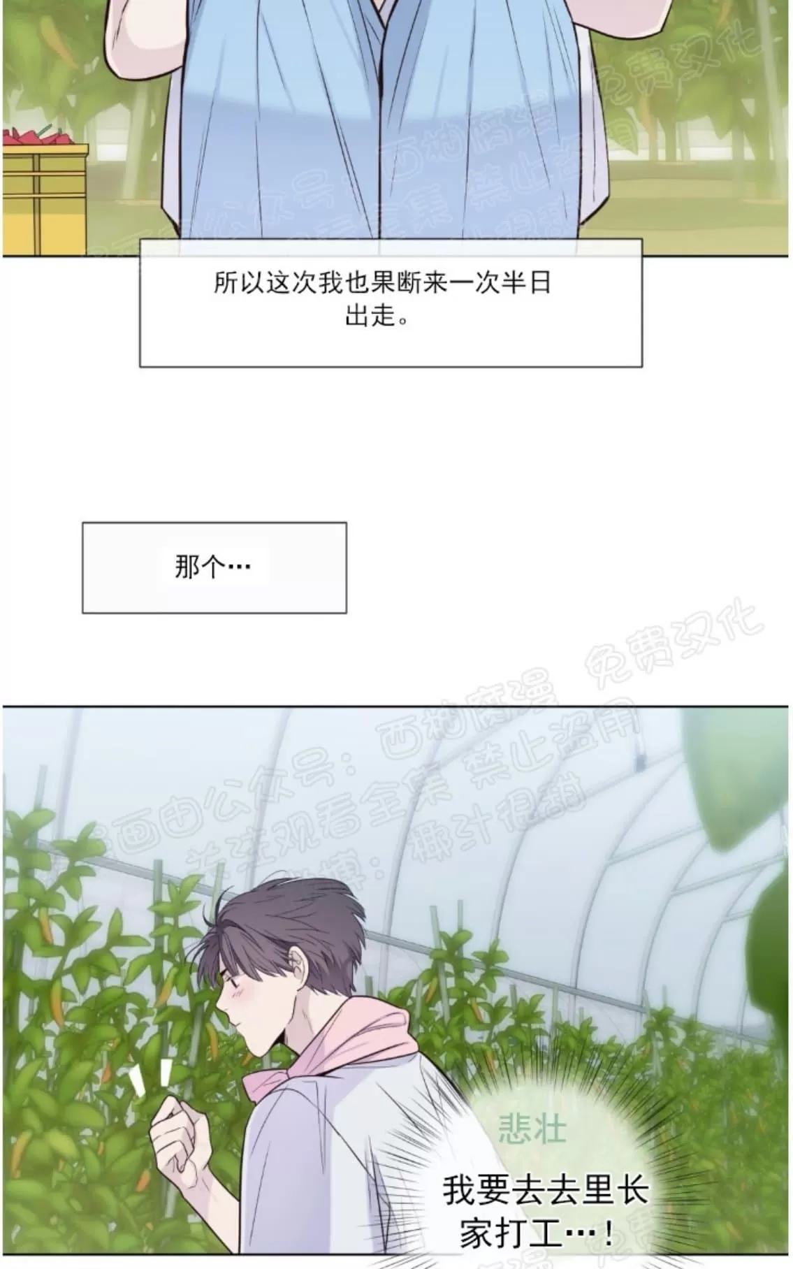 《夏日访客》漫画最新章节 第18话 免费下拉式在线观看章节第【8】张图片