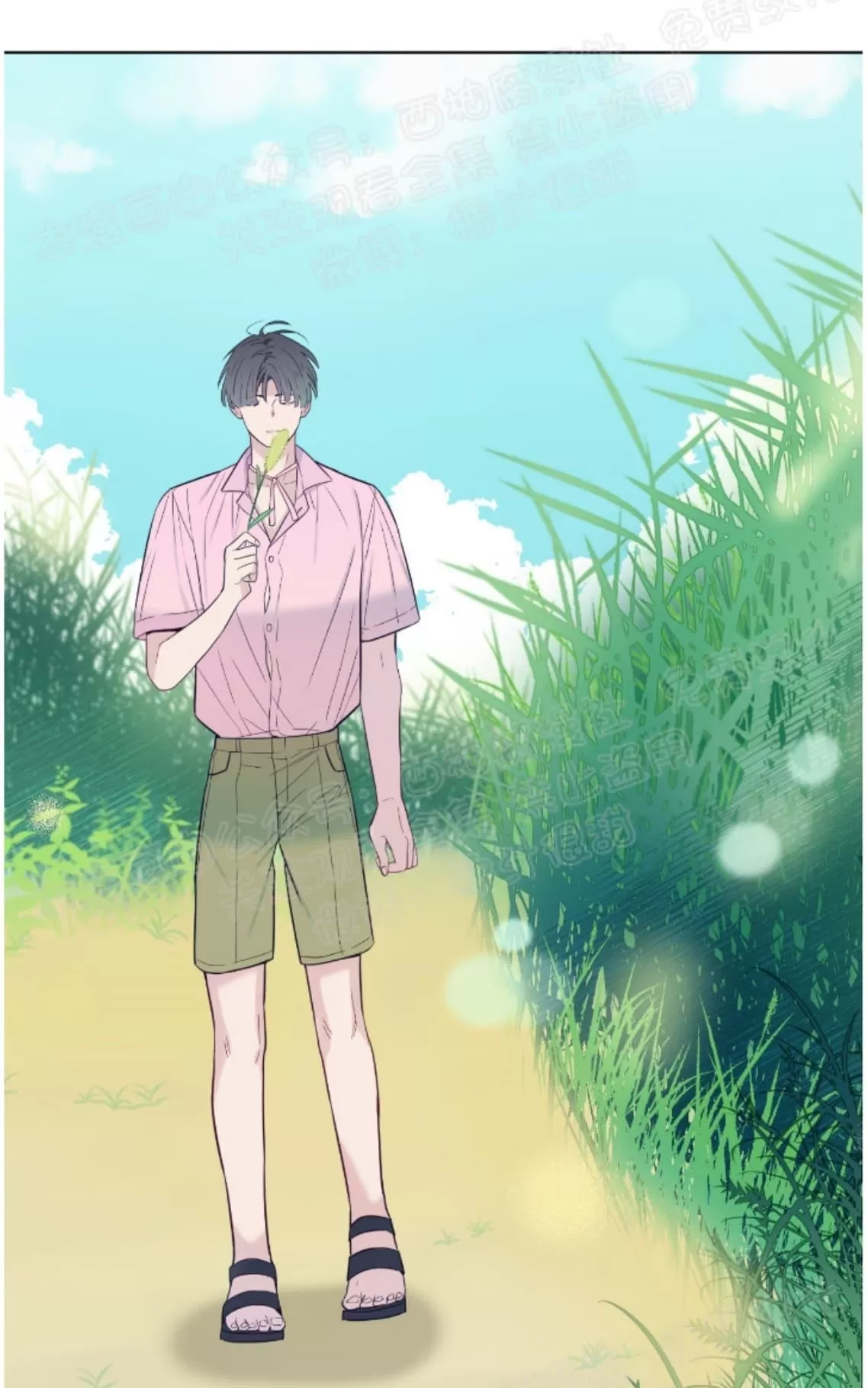 《夏日访客》漫画最新章节 第16话 免费下拉式在线观看章节第【49】张图片