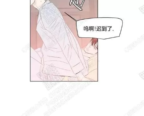 《糖果爹地真的甜吗》漫画最新章节 第51话 免费下拉式在线观看章节第【33】张图片