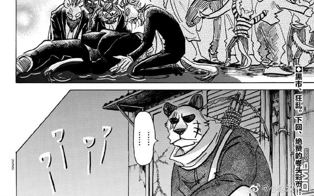 《BEASTARS》漫画最新章节 第156话 免费下拉式在线观看章节第【18】张图片