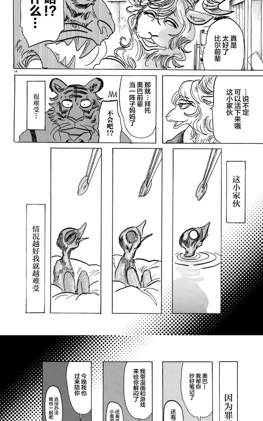 《BEASTARS》漫画最新章节 第155话 免费下拉式在线观看章节第【14】张图片