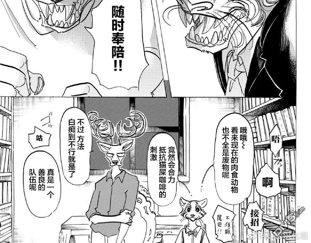 《BEASTARS》漫画最新章节 第147话 免费下拉式在线观看章节第【20】张图片