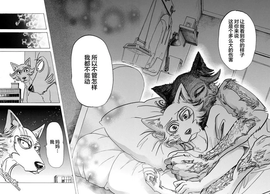 《BEASTARS》漫画最新章节 第134话 免费下拉式在线观看章节第【14】张图片