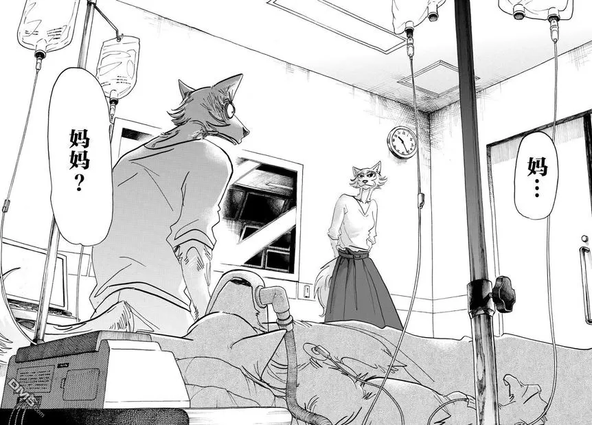 《BEASTARS》漫画最新章节 第132话 免费下拉式在线观看章节第【18】张图片