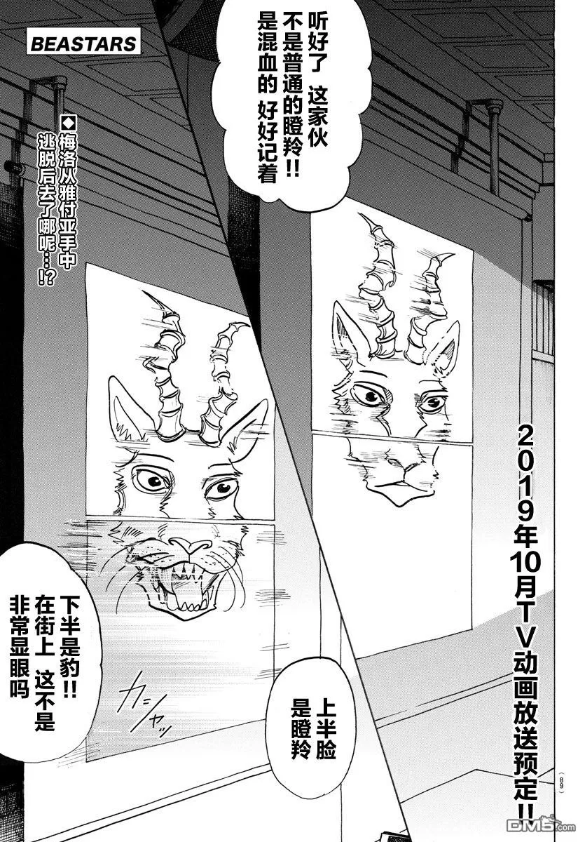 《BEASTARS》漫画最新章节 第126话 免费下拉式在线观看章节第【1】张图片