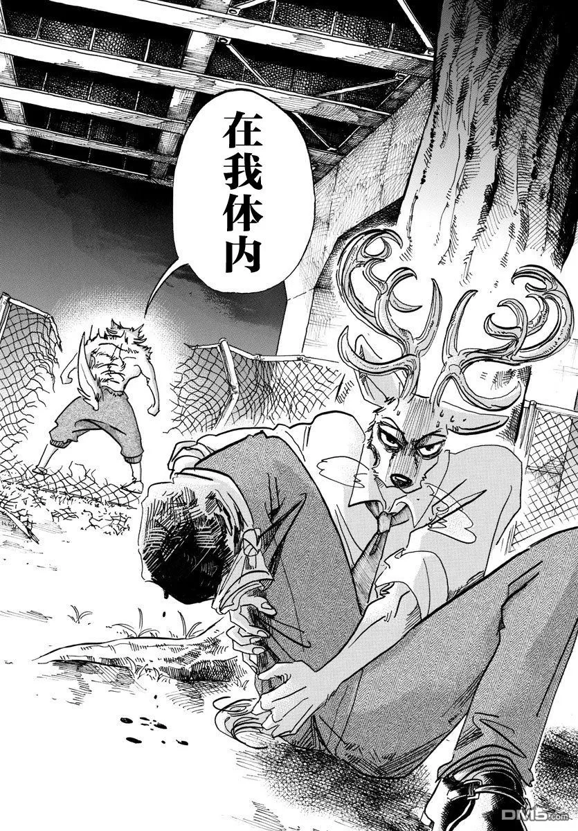 《BEASTARS》漫画最新章节 第96话 免费下拉式在线观看章节第【8】张图片