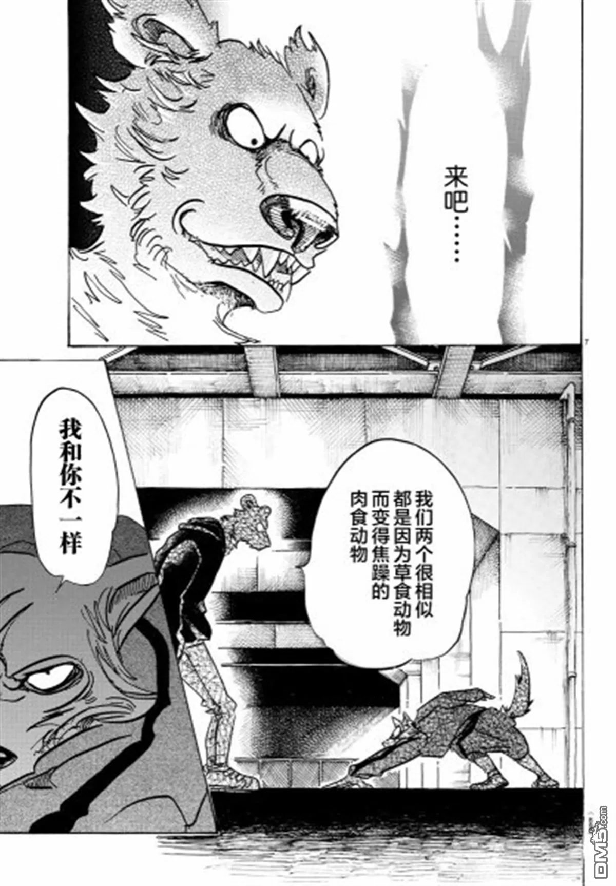 《BEASTARS》漫画最新章节 第91话 免费下拉式在线观看章节第【7】张图片