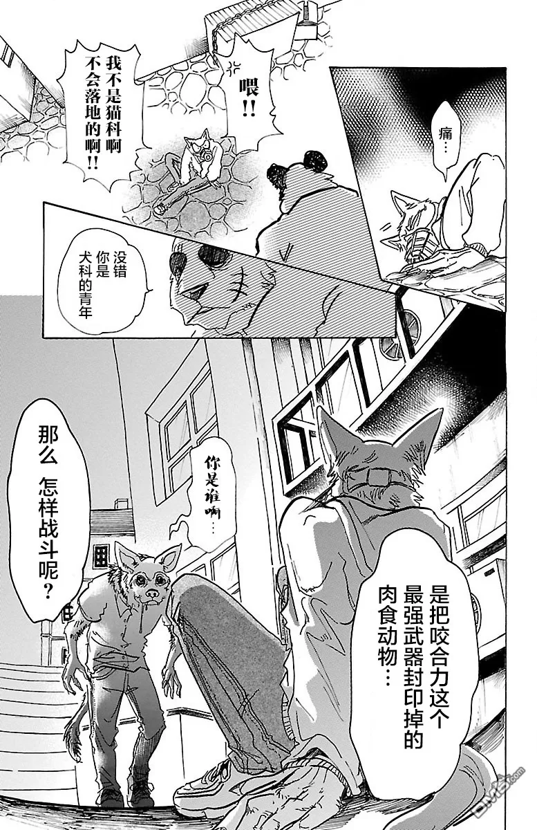 《BEASTARS》漫画最新章节 第68话 免费下拉式在线观看章节第【13】张图片