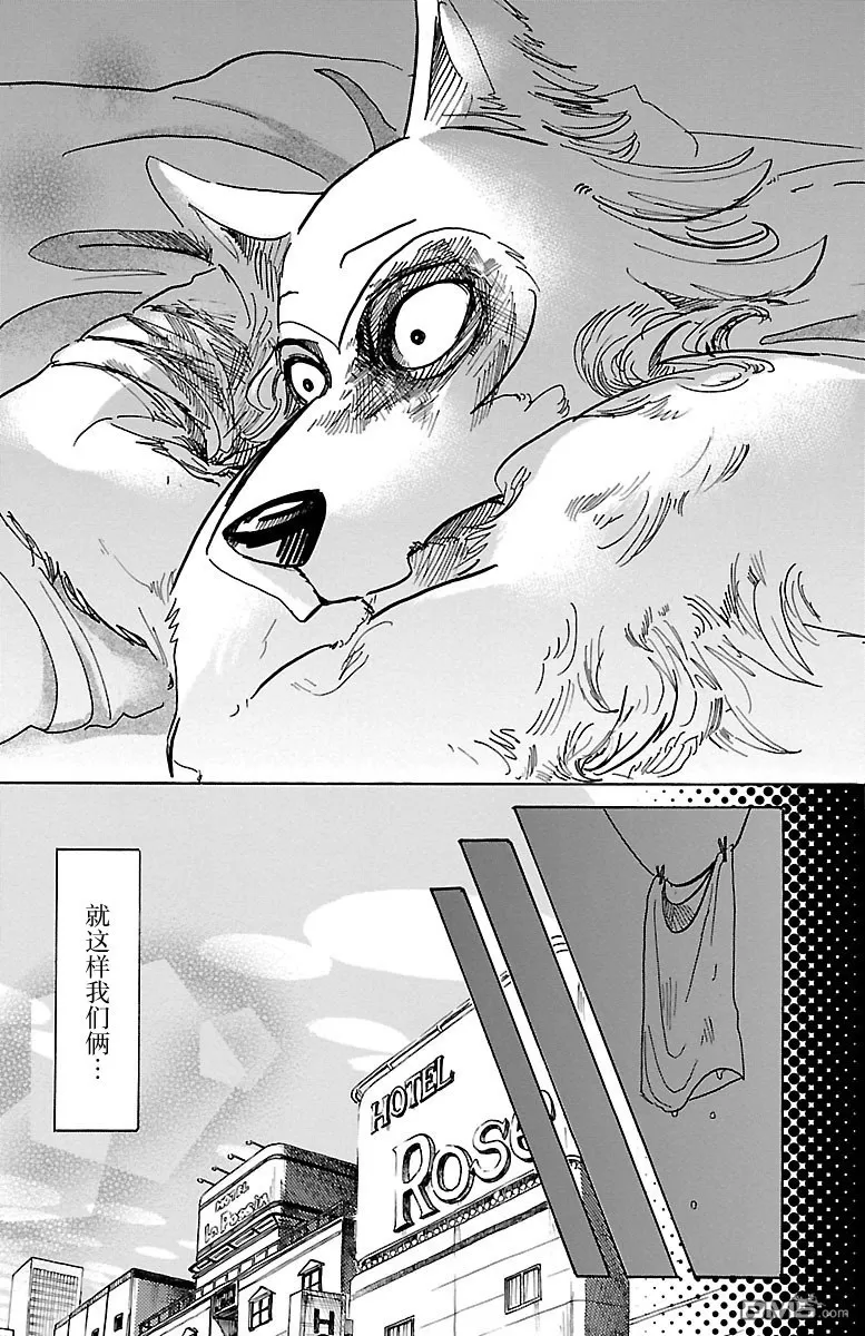 《BEASTARS》漫画最新章节 第44话 免费下拉式在线观看章节第【17】张图片