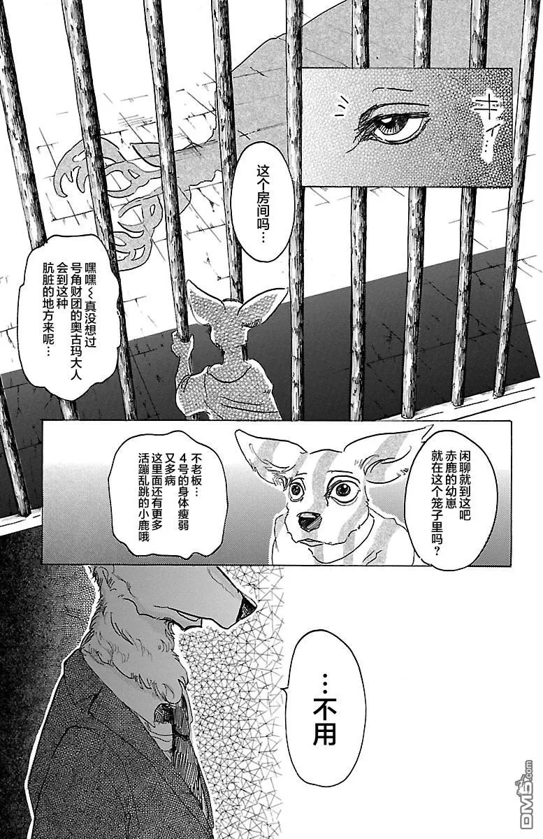 《BEASTARS》漫画最新章节 第33话 免费下拉式在线观看章节第【13】张图片