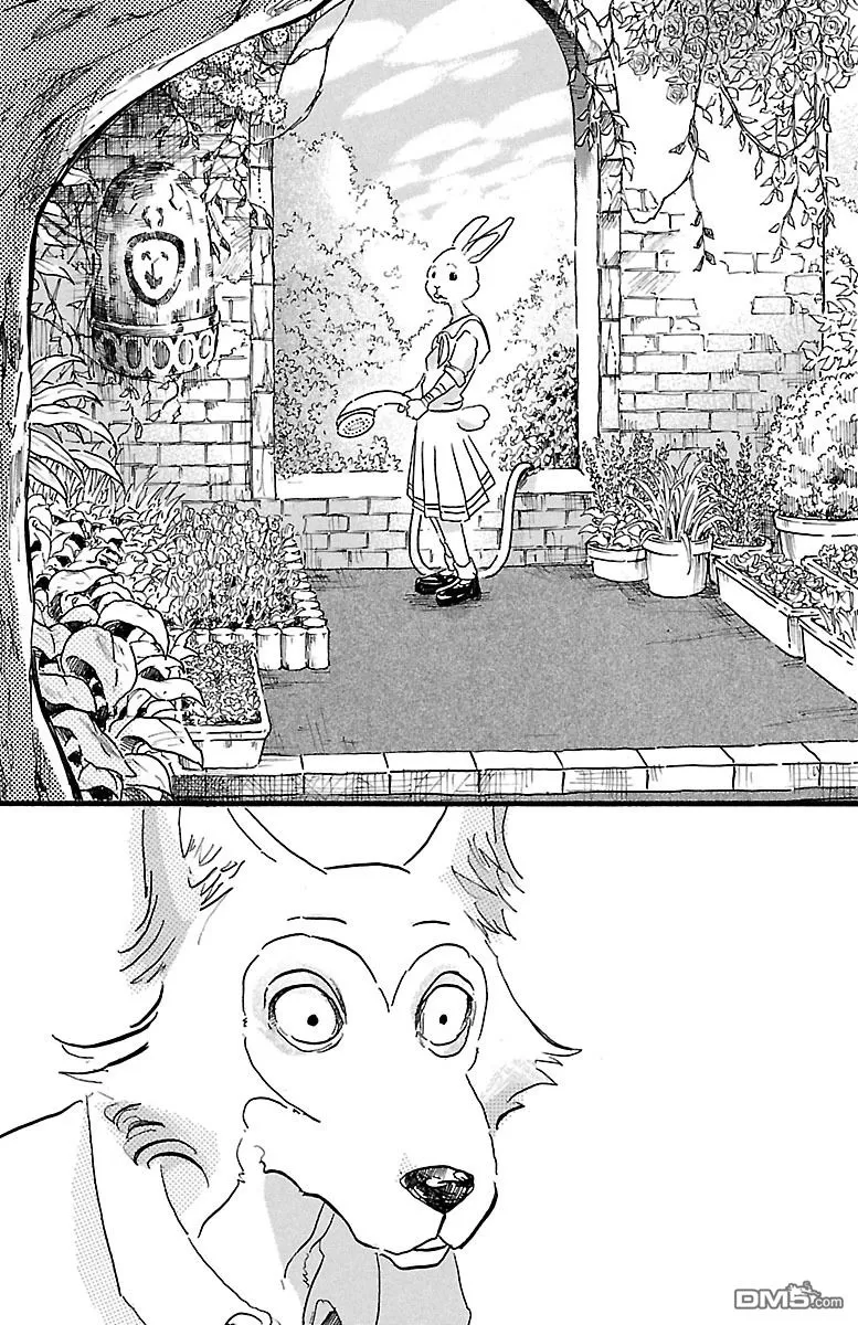 《BEASTARS》漫画最新章节 第7话 免费下拉式在线观看章节第【19】张图片