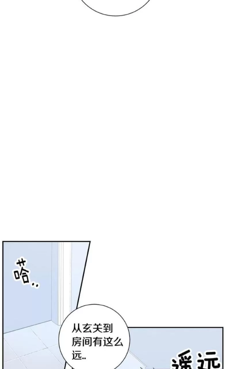 【冬日后的樱花 第一二季[耽美]】漫画-（ 第56话 ）章节漫画下拉式图片-33.jpg