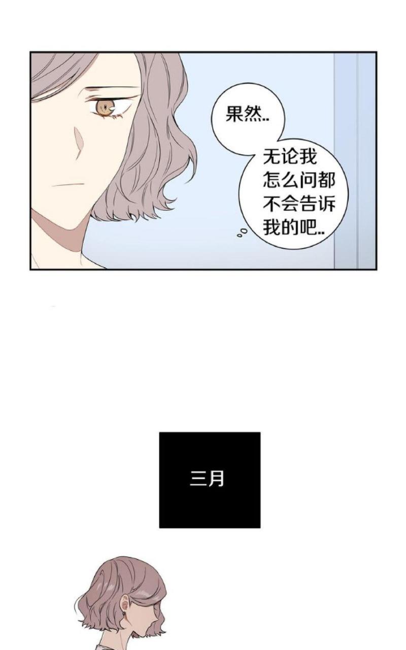 【冬日后的樱花 第一二季[腐漫]】漫画-（ 第54话 ）章节漫画下拉式图片-第33张图片