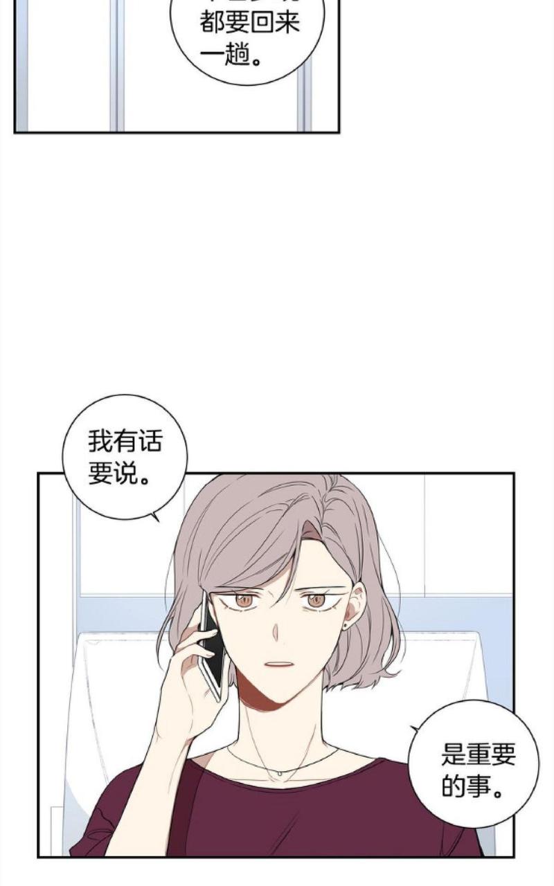 【冬日后的樱花 第一二季[腐漫]】漫画-（ 第54话 ）章节漫画下拉式图片-第51张图片