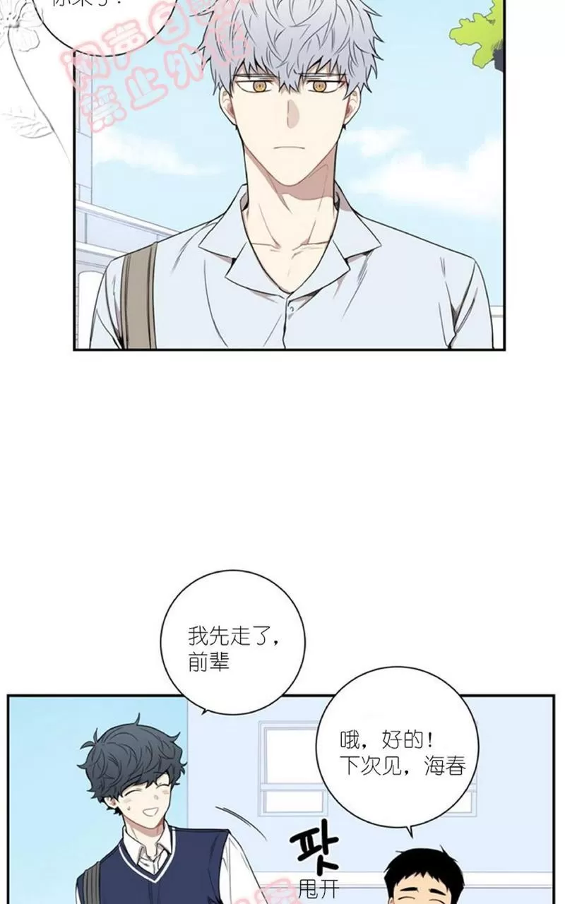 《冬日后的樱花 第一二季》漫画最新章节 第44话 免费下拉式在线观看章节第【13】张图片