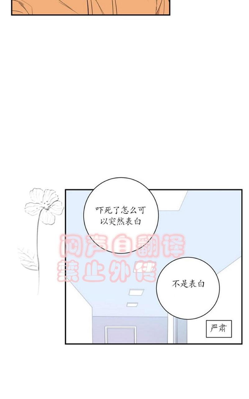 【冬日后的樱花 第一二季[腐漫]】漫画-（ 第41话 ）章节漫画下拉式图片-第20张图片