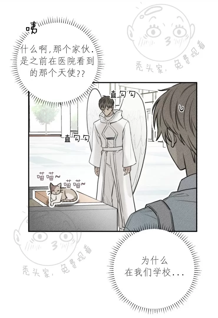 《天使密友/天使拍档》漫画最新章节 第43话 免费下拉式在线观看章节第【6】张图片