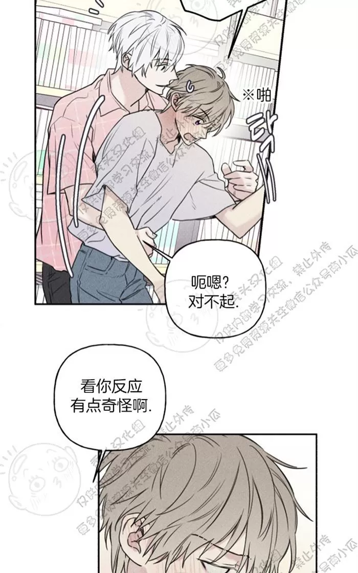 《天使密友/天使拍档》漫画最新章节 第29话 免费下拉式在线观看章节第【36】张图片