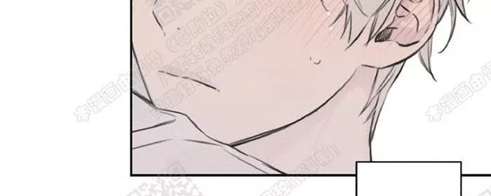 《天使密友/天使拍档》漫画最新章节 第13话 免费下拉式在线观看章节第【69】张图片