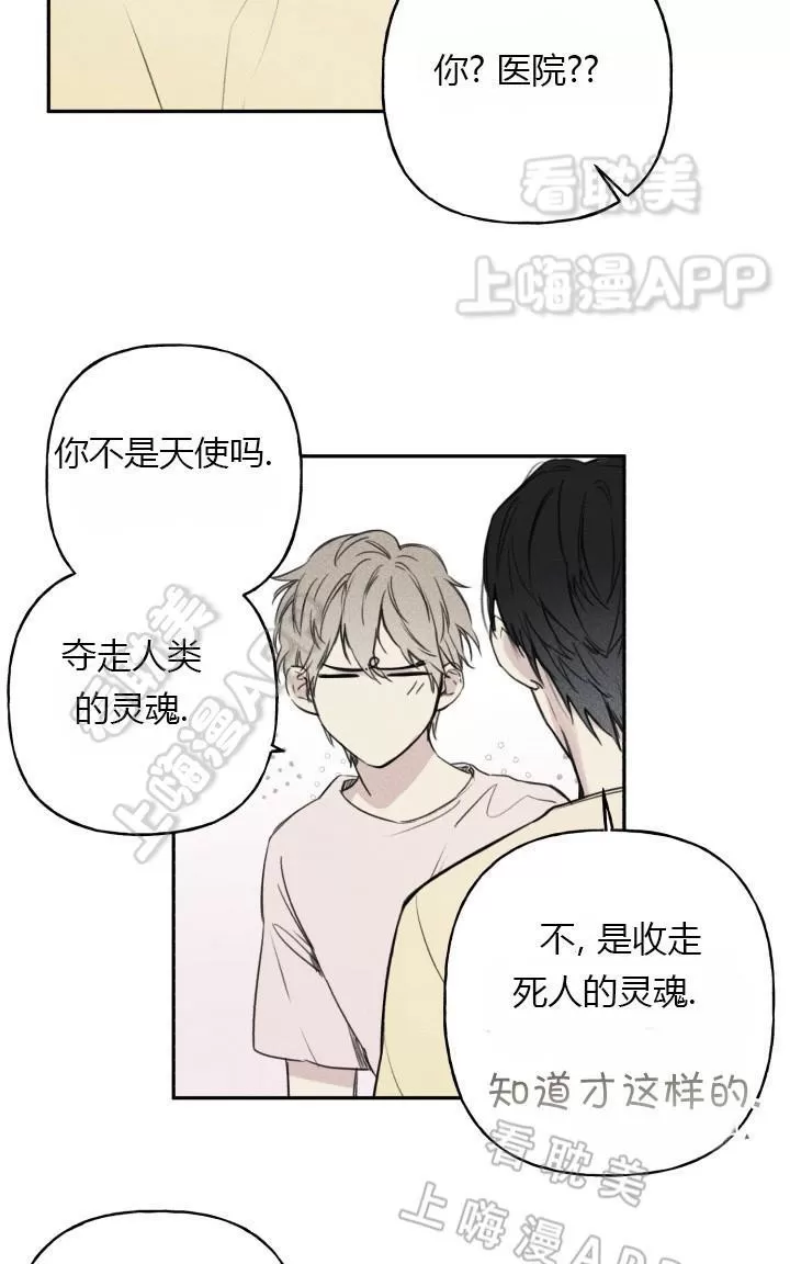 《天使密友/天使拍档》漫画最新章节 第9话 免费下拉式在线观看章节第【54】张图片