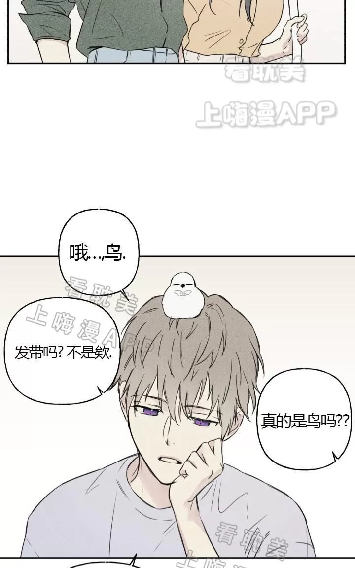 《天使密友/天使拍档》漫画最新章节 第3话 免费下拉式在线观看章节第【3】张图片