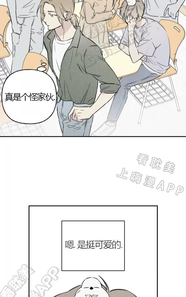 《天使密友/天使拍档》漫画最新章节 第3话 免费下拉式在线观看章节第【5】张图片