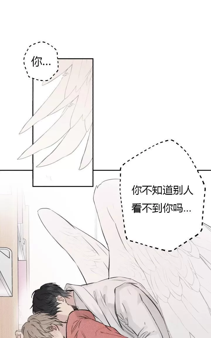 《天使密友/天使拍档》漫画最新章节 第1话 免费下拉式在线观看章节第【16】张图片