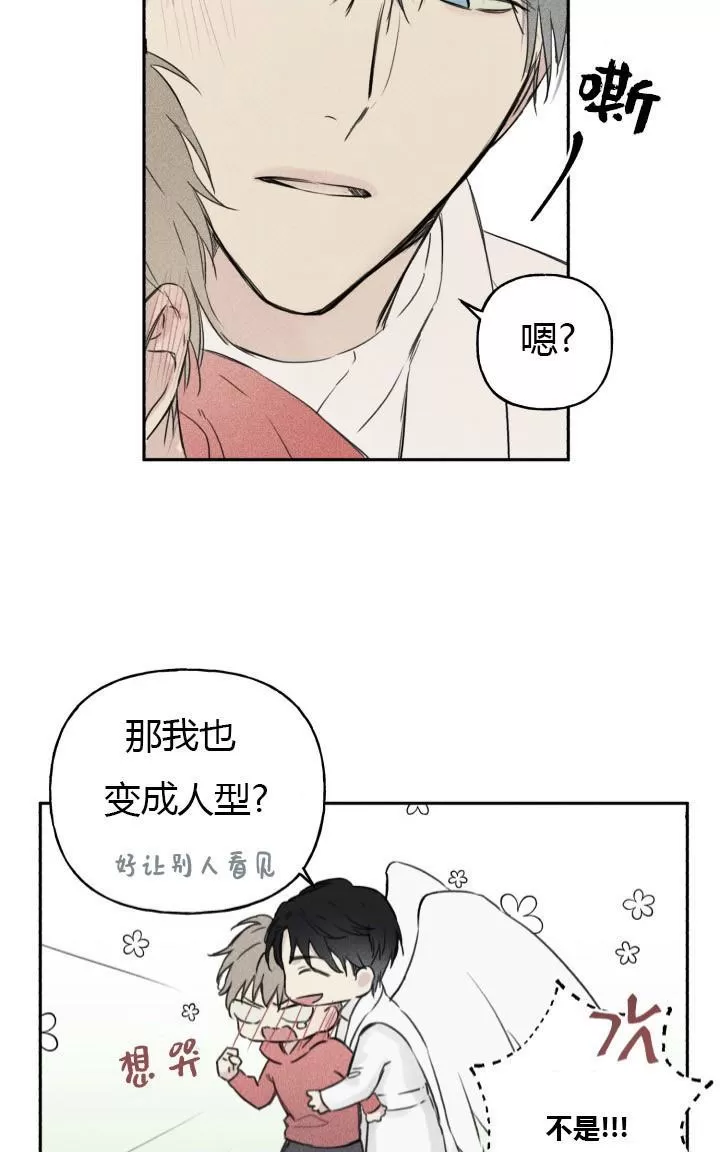 《天使密友/天使拍档》漫画最新章节 第1话 免费下拉式在线观看章节第【20】张图片