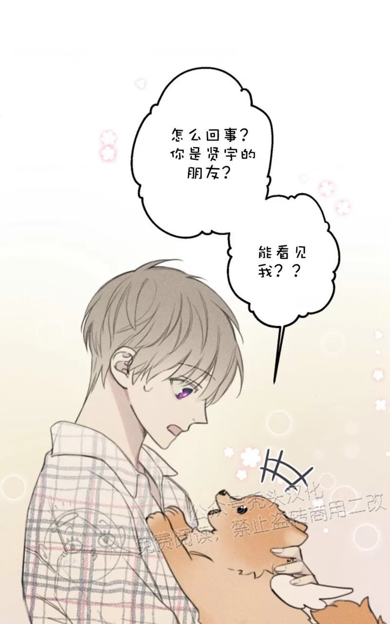 《天使密友/天使拍档》漫画最新章节第64话免费下拉式在线观看章节第【47】张图片