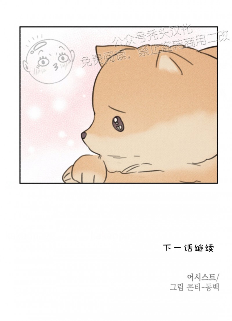 《天使密友/天使拍档》漫画最新章节第66话免费下拉式在线观看章节第【27】张图片