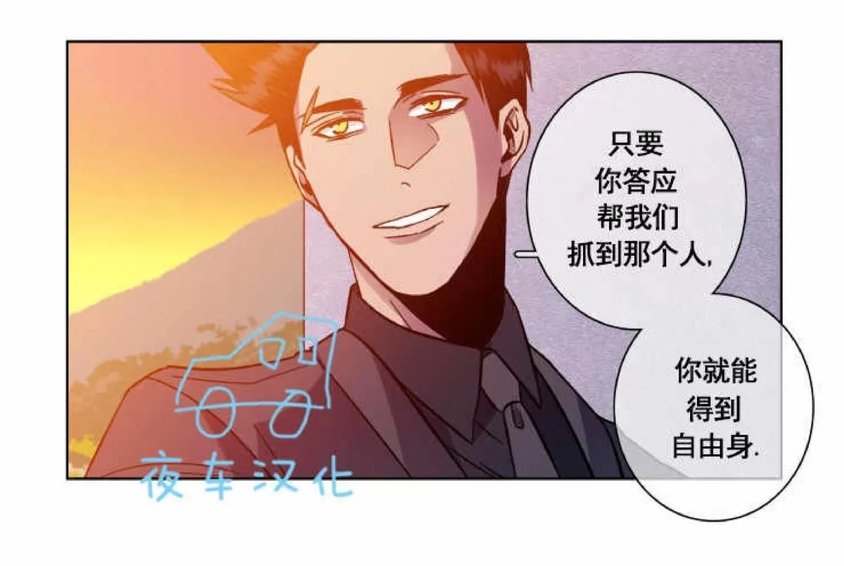 《灯笼??》漫画最新章节 第41话 免费下拉式在线观看章节第【24】张图片