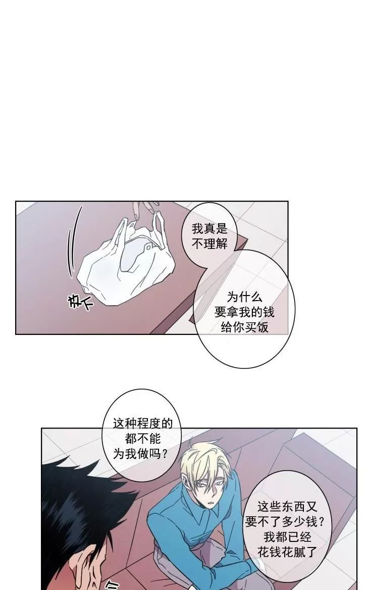 《灯笼??》漫画最新章节 第37-38话 免费下拉式在线观看章节第【20】张图片