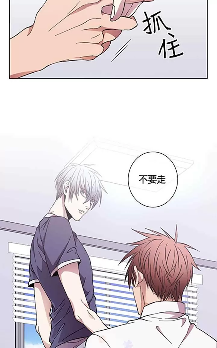 《灯笼??》漫画最新章节 第29-33话 免费下拉式在线观看章节第【68】张图片