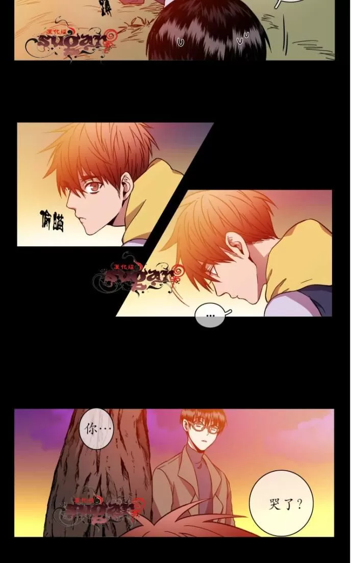 《灯笼??》漫画最新章节 第21-28话 免费下拉式在线观看章节第【112】张图片