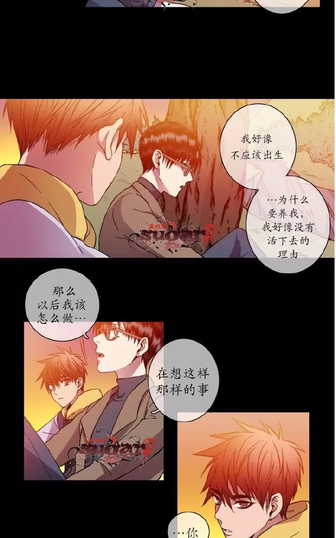 《灯笼??》漫画最新章节 第21-28话 免费下拉式在线观看章节第【117】张图片