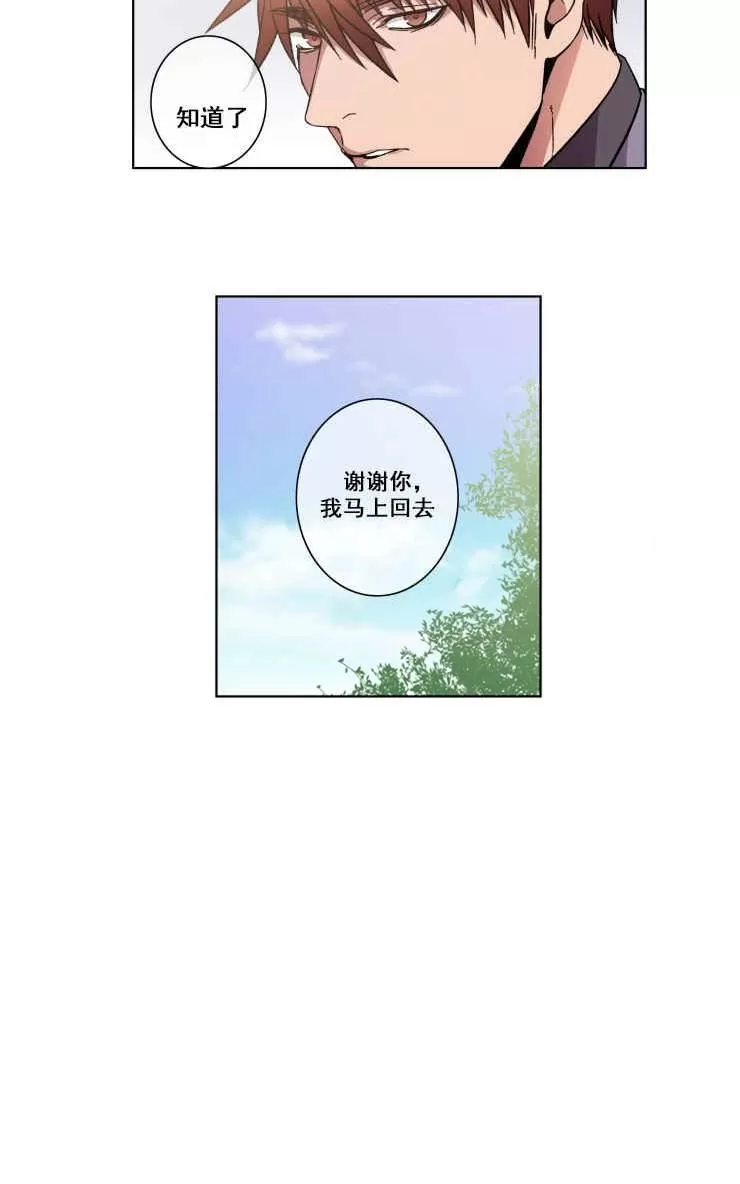 《灯笼??》漫画最新章节 第21-28话 免费下拉式在线观看章节第【188】张图片