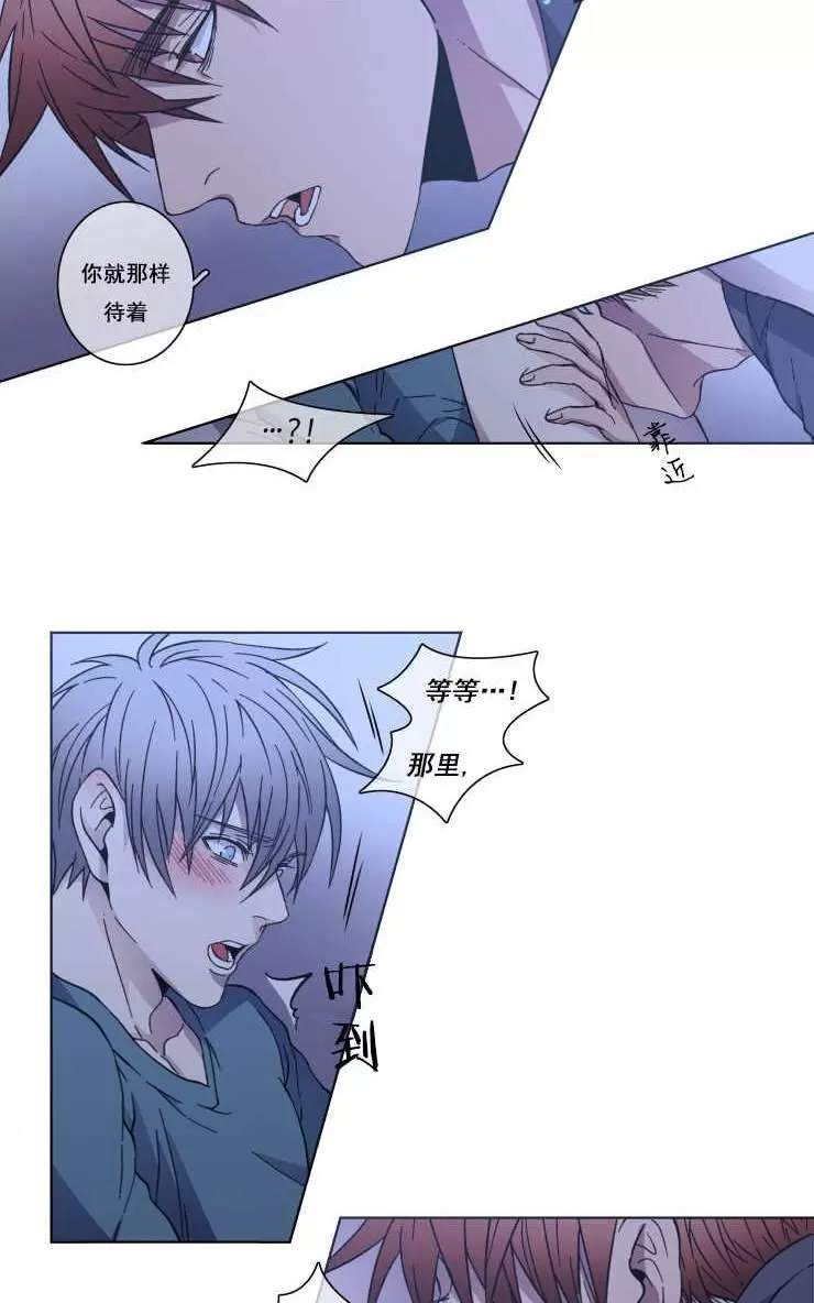 《灯笼??》漫画最新章节 第21-28话 免费下拉式在线观看章节第【229】张图片