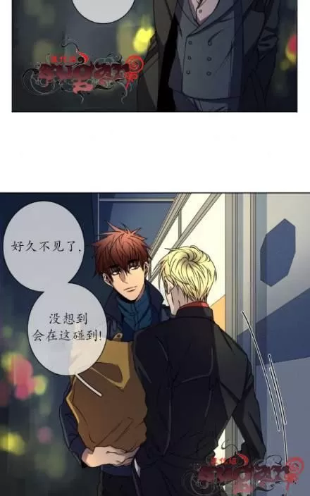 《灯笼??》漫画最新章节 第11-20话 免费下拉式在线观看章节第【3】张图片