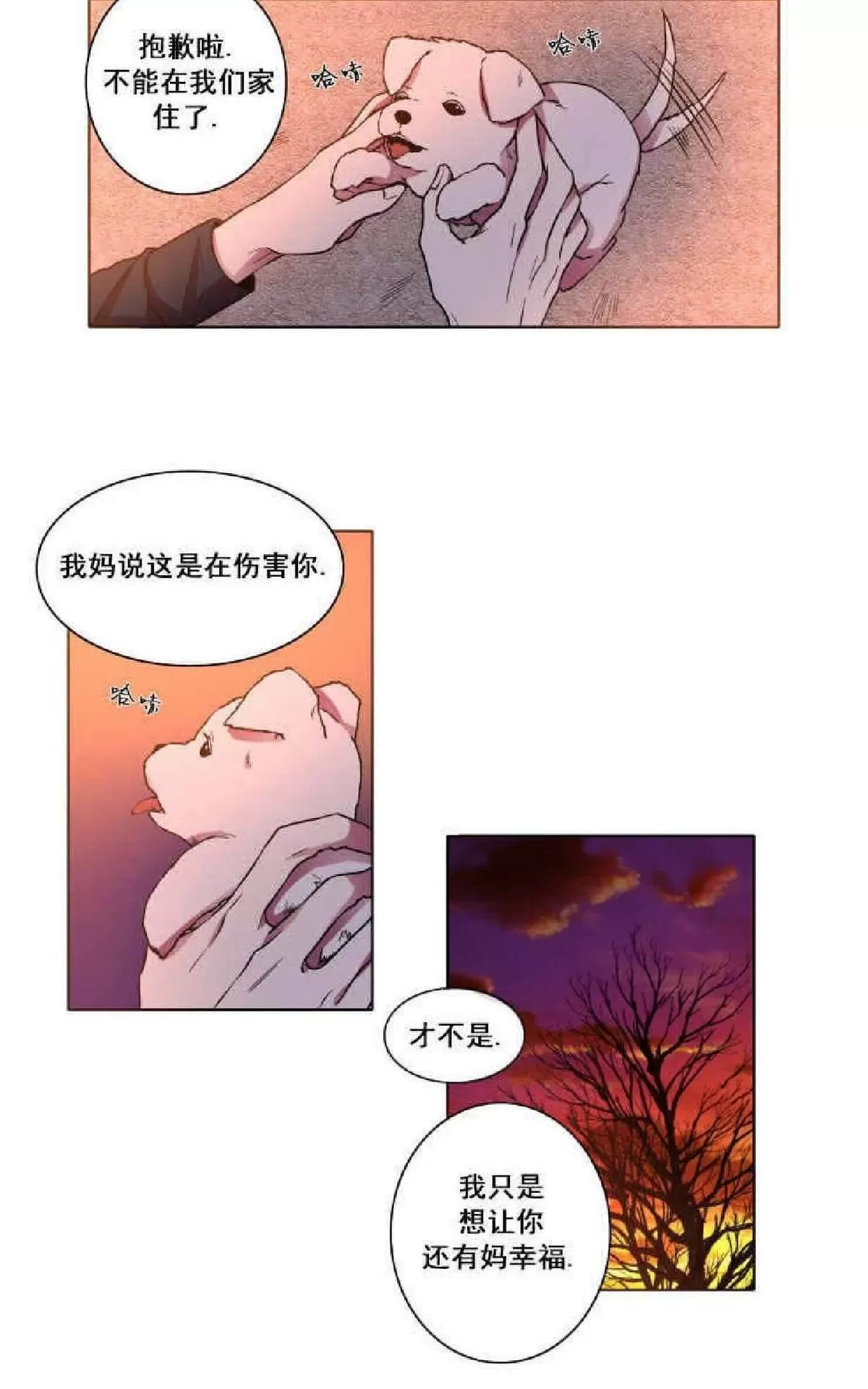 《灯笼??》漫画最新章节 第1-10话 免费下拉式在线观看章节第【203】张图片