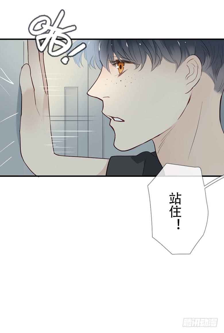 《曲折少年》漫画最新章节 第38话后小剧场：没有尾巴的兔子 免费下拉式在线观看章节第【117】张图片