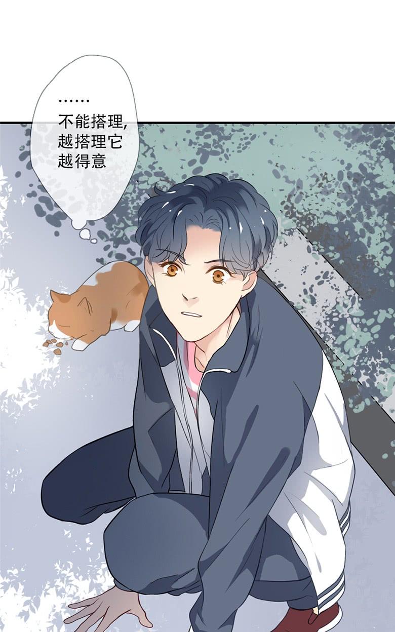 《曲折少年》漫画最新章节 第38话后小剧场：没有尾巴的兔子 免费下拉式在线观看章节第【150】张图片