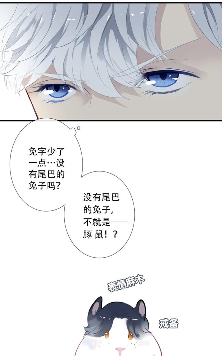 《曲折少年》漫画最新章节 第38话后小剧场：没有尾巴的兔子 免费下拉式在线观看章节第【63】张图片